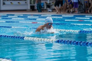 Msq Masters Swimming Queensland