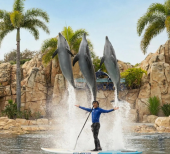Apr 2026 Sea World Gold Coast A Family Guide For Visitors Staying At Main Beach