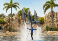 Apr 2026 Sea World Gold Coast A Family Guide For Visitors Staying At Main Beach