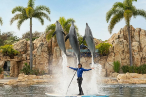 Apr 2026 Sea World Gold Coast A Family Guide For Visitors Staying At Main Beach