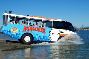 Aquaduck