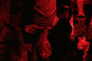 Draculas Haunted House Draculas Haunted House