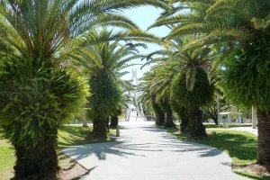 Macintosh Island Park Photo From City Of Gold Coast Website