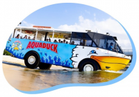Mar 2025 Aquaduck Tours Cruises And The Best Way To See The Gold Coast From The Water