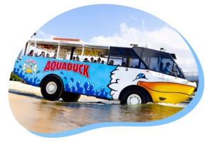 Mar 2025 Aquaduck Tours Cruises And The Best Way To See The Gold Coast From The Water