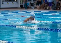 Msq Masters Swimming Queensland