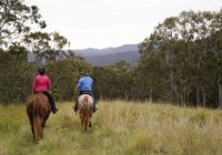 Numinbah Valley Adventure Trails