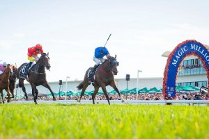 Photo From Magic Millions Website Photo From Magic Millions Website