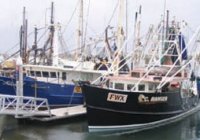 Seafood Trawlers on the Gold Coast Queensland