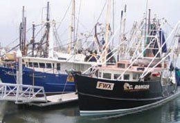 Seafood Trawlers on the Gold Coast Queensland