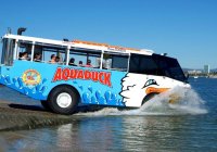 Aquaduck Aquaduck