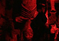 Draculas Haunted House Draculas Haunted House