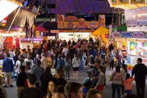 Gold Coast Show 2023 Gold Coast Show 2023