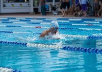 Msq Masters Swimming Queensland Msq Masters Swimming Queensland