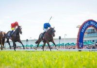 Photo From Magic Millions Website Photo From Magic Millions Website