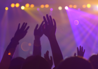 Upcoming Gold Coast Festivals Get Ready For The Excitement Upcoming Gold Coast Festivals Get Ready For The Excitement